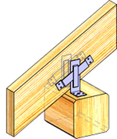 Скользячка прямоустановленная